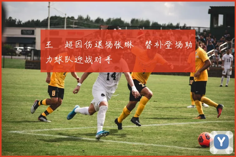王燊超因伤退场张琳芃替补登场助力球队迎战对手
